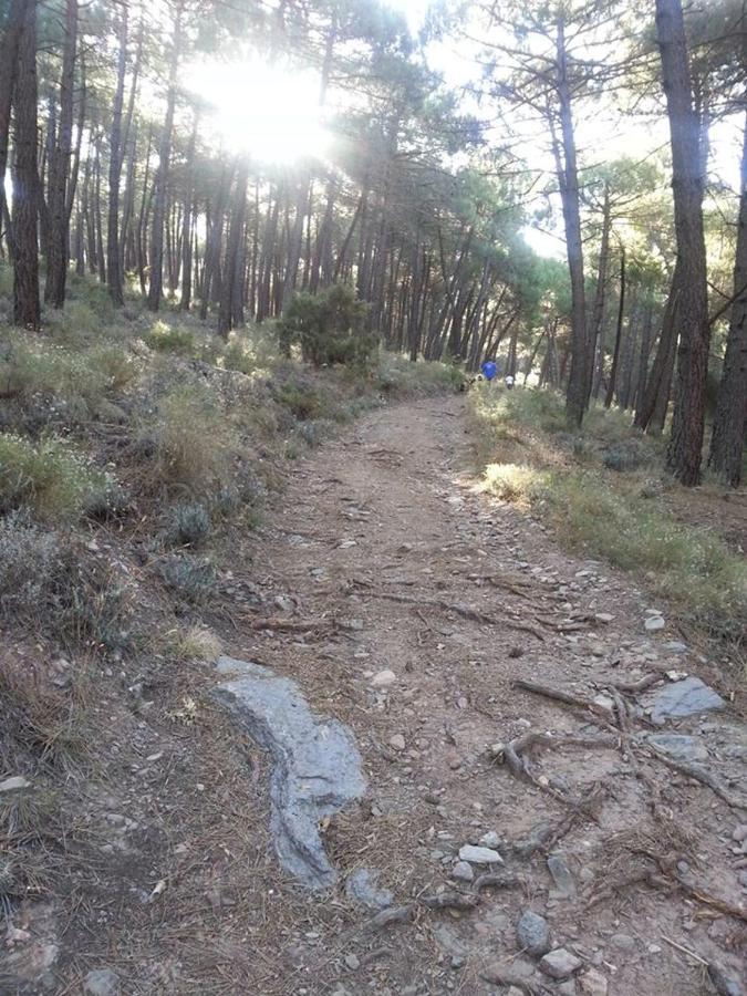 Green Peaks B&B Country House Alojamiento Rural Cortijo de Balsain Buitenkant foto